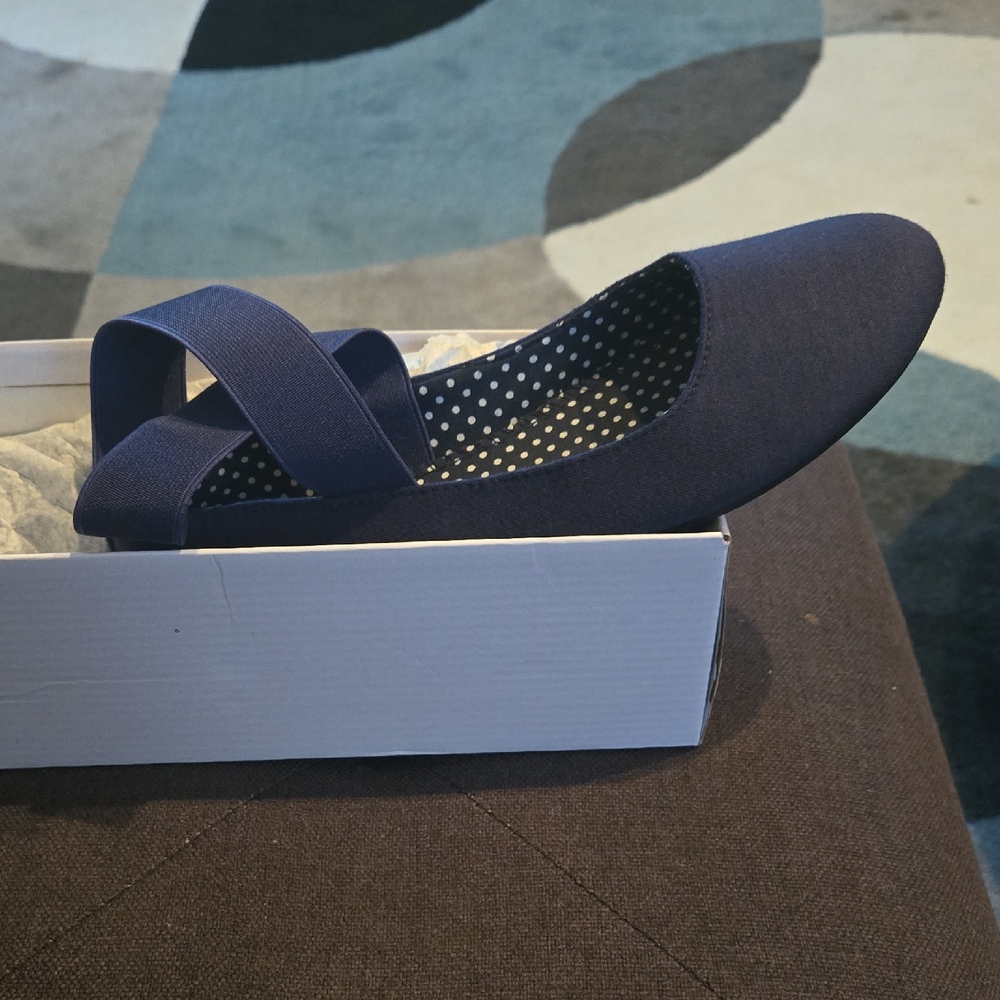 Navy Blue Ballet Flats